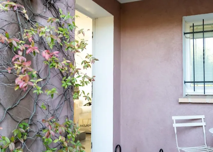 Very Bright With Garden And Terrace