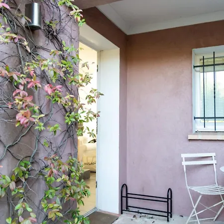Very Bright With Garden And Terrace